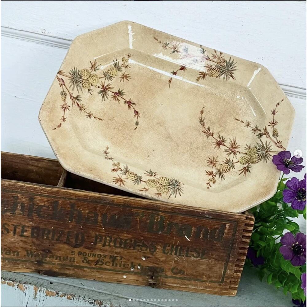 Antique 1885 Ridgeways Stoke-on-Trent Cenis Platter Crazed Stained Pineapple